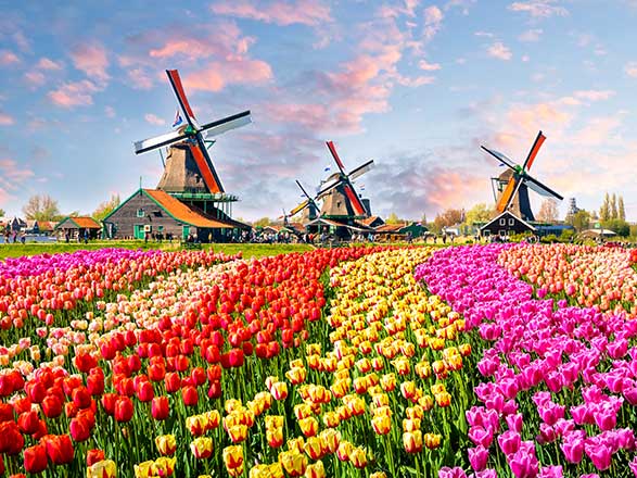 escale,Amsterdam-Pays-bas_zoom,NL,AMS,40230.jpg