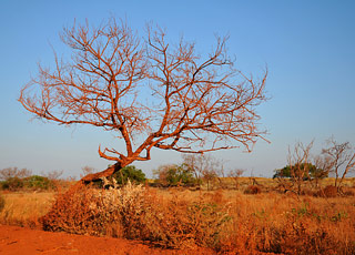 Escale Australie (Côte Kimberley)