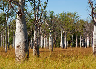 Escale Australie (Côte Kimberley)