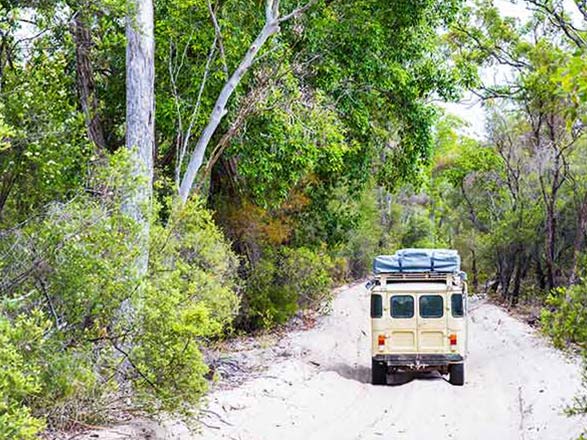 Escale Australie (Fraser Island)