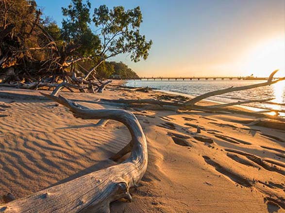 Escale Australie (Fraser Island)