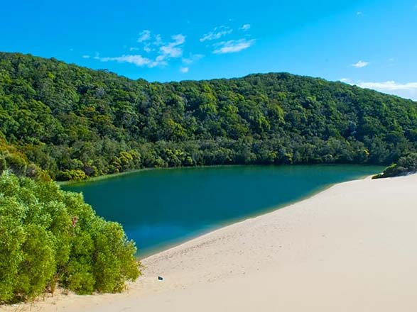 Escale Australie (Fraser Island)