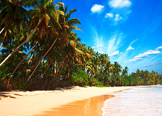 Escale Sri Lanka (Galle)