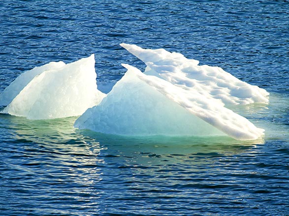 Escale Chili (Glacier Amalia)