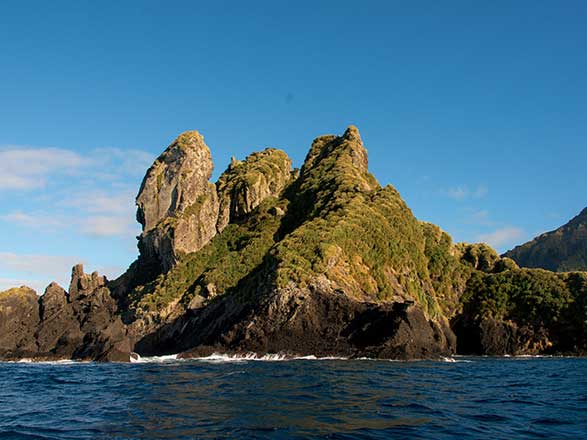 Escale Ile Saint Helene (Gough Island)