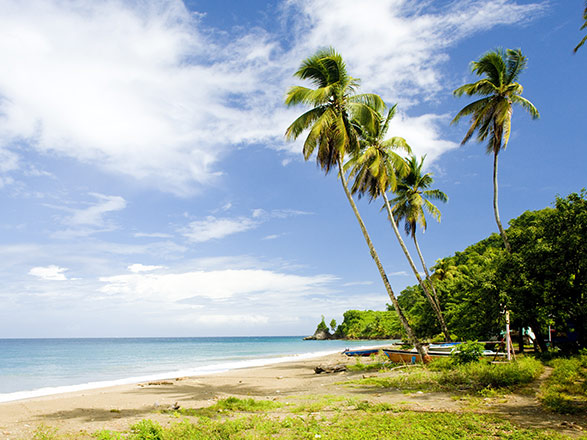 Escale Antilles (Grenade)