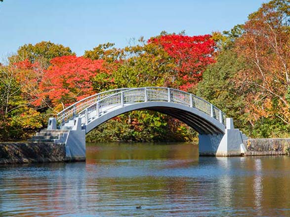 Escale Japon (Hakodate)