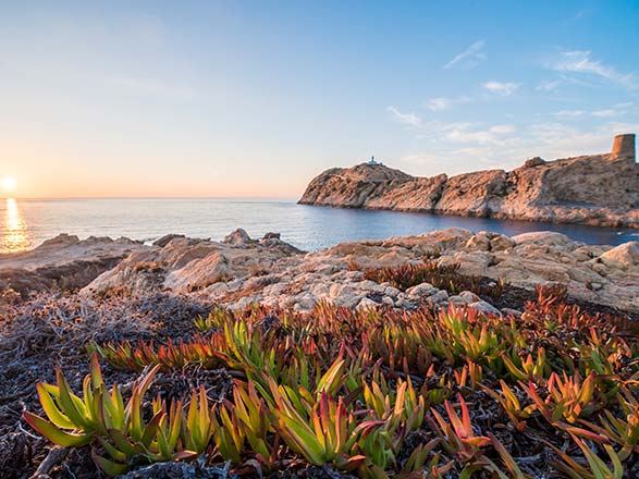 escale,Ile Rousse-France_zoom,FR,ILR,521613.jpg