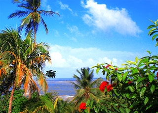 Escale Guyane Française (Iles du Salut)