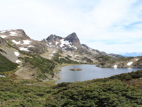 Escale Chili (Baie Wulaia)