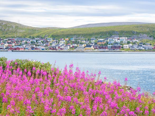 escale,Kjollefjord-Norvège_zoom,NO,KJF,517231.jpg