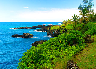 Escale Hawaï (Lahaina)