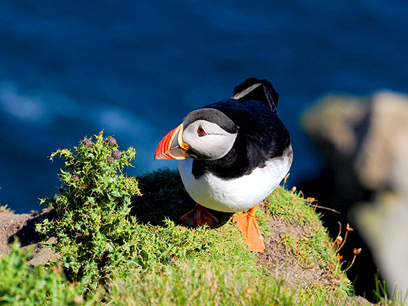 escale,Lerwick-Royaume-uni_zoom,GB,LER,36837.jpg