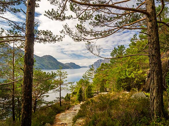 Escale Norvège (Ameralik Fjord, Lysefjord)