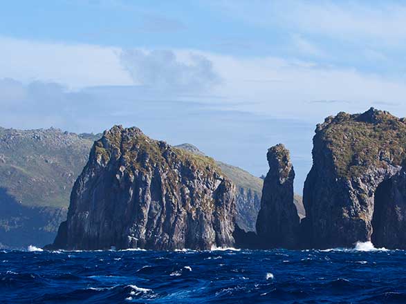 Escale Ile Saint Helene (Nightingale Island)