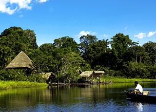 Escale Amazonie (Nova Airo)