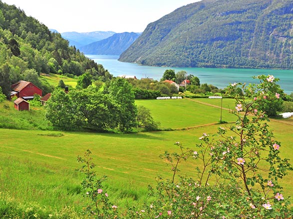 escale,Ornes-Norvège_zoom,NO,SVI,517268.jpg