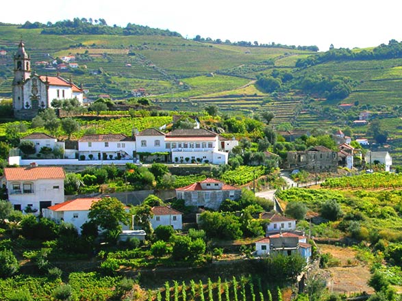 Escale Caladas de Aregos - Pinhão 