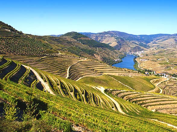 Escale Caladas de Aregos - Pinhão 