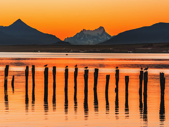 Escale Chili (Puerto Natales)