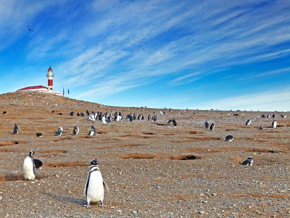 Escale Chili (Punta Arenas)