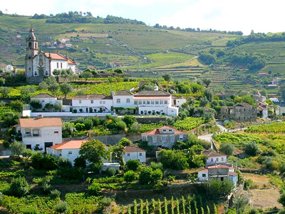 Escale REGUA - PINHAO - VEGA DE TERRON