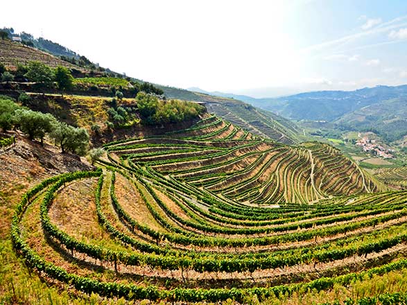 Escale REGUA - PINHAO - VEGA DE TERRON