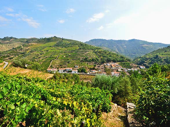 Escale REGUA - PINHAO - VEGA DE TERRON