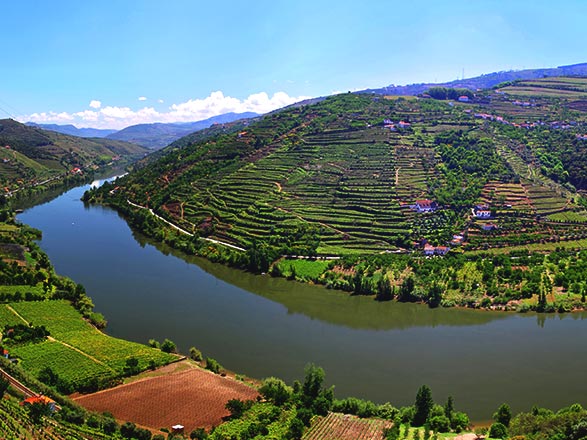 Escale REGUA - PINHAO - VEGA DE TERRON