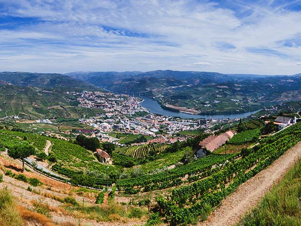 Escale REGUA - PINHAO - VEGA DE TERRON