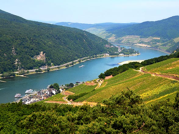 Escale Rocher de la Lorelei - Rudesheim