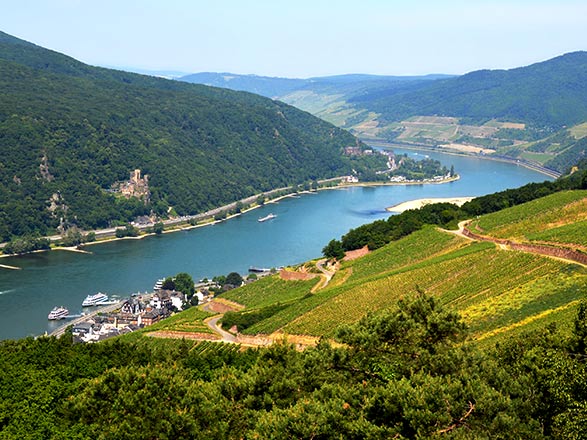 Escale RÜDESHEIM - COBLENCE - COCHEM (Le Rhin romantique et la Moselle)