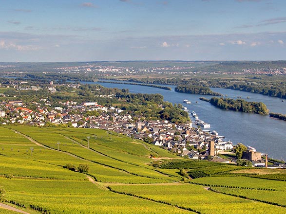 Escale RÜDESHEIM - COBLENCE - COCHEM (Le Rhin romantique et la Moselle)