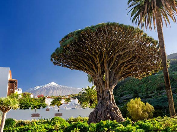 escale,Santa Cruz de Tenerife-Espagne_zoom,ES,SCT,63169.jpg