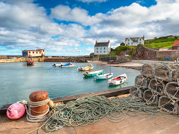 Escale Royaumr-Uni (St Abbs)