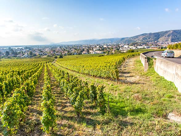 Escale TAIN-L'HERMITAGE