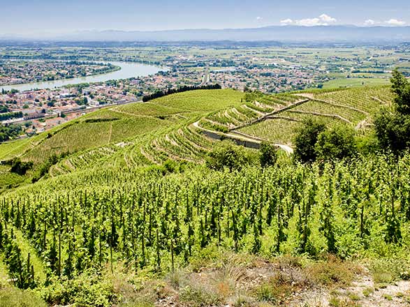 Escale TAIN-L'HERMITAGE