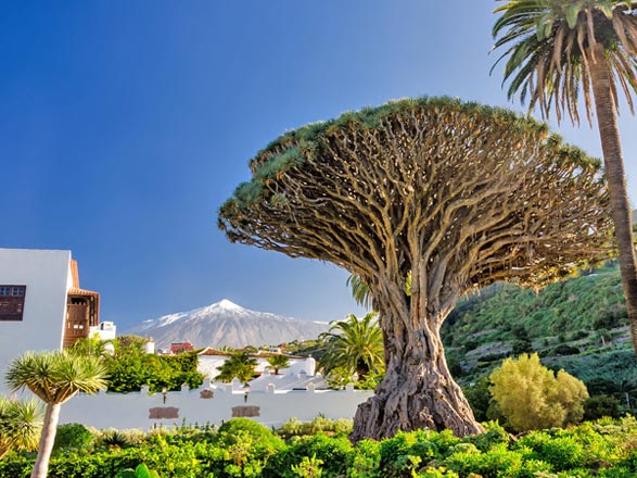 Escale Iles Canaries (Tenerife)