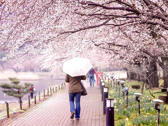 Escale Japon (Toba)