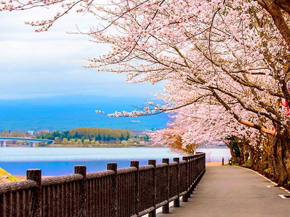 Escale Japon (Toba)