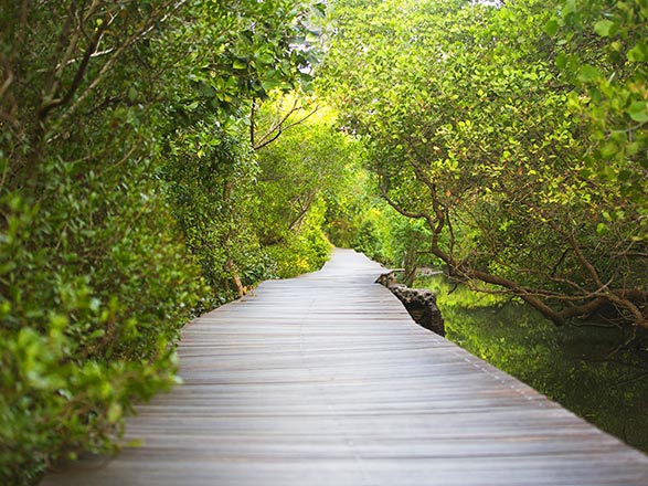 https://static.abcroisiere.com/images/fr/escales/escale,benoa-benoa_zoom,ID,BOA,35187.jpg