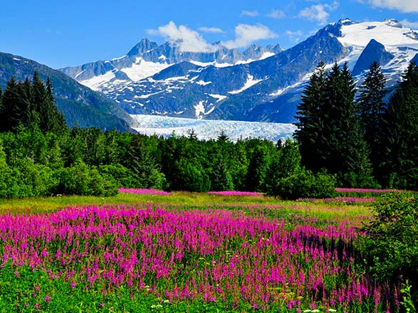 https://static.abcroisiere.com/images/fr/escales/escale,juneau-juneau_zoom,US,JNU,36749.jpg