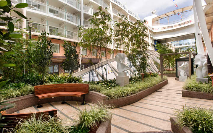 navire,oasis-of-the-seas_720x450,420,511117.jpg