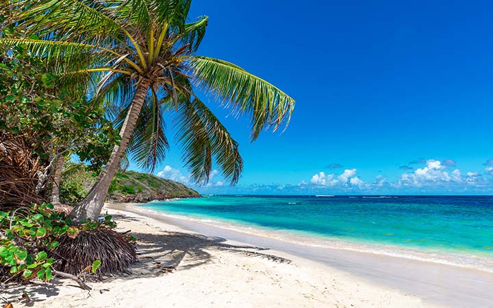 Escale Bimini