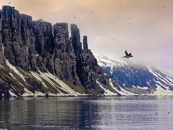 Escale Spitzberg (Alkefjellet)