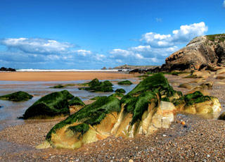 Escale Algérie (Annaba)