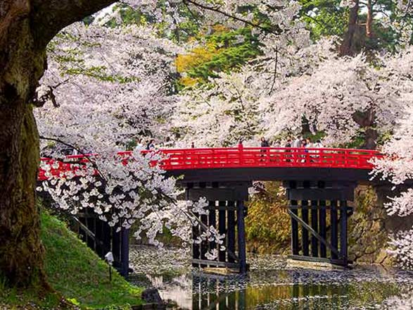 Escale Japon (Aomori)