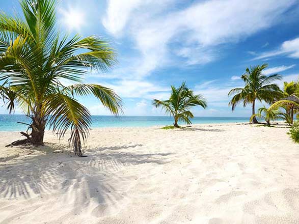 Escale Bahamas (Bimini)