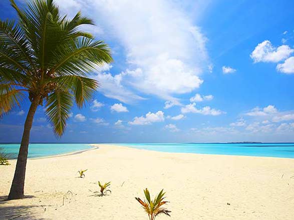 Escale Bahamas (Bimini)