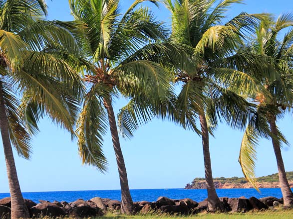 Escale MALENDURE - BOUILLANTE